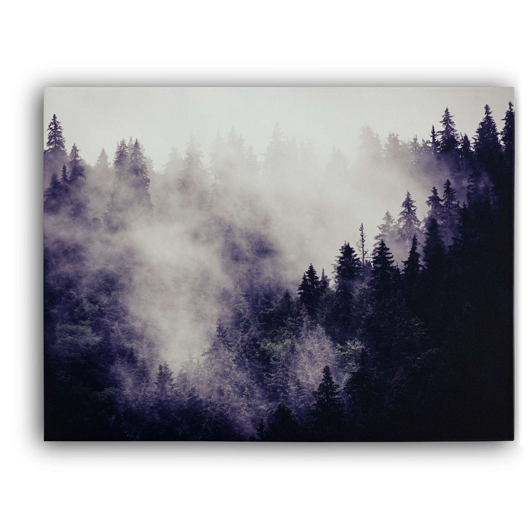 Misty Forest II Canvas Wido 