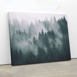 Misty Forest III Canvas Wido 