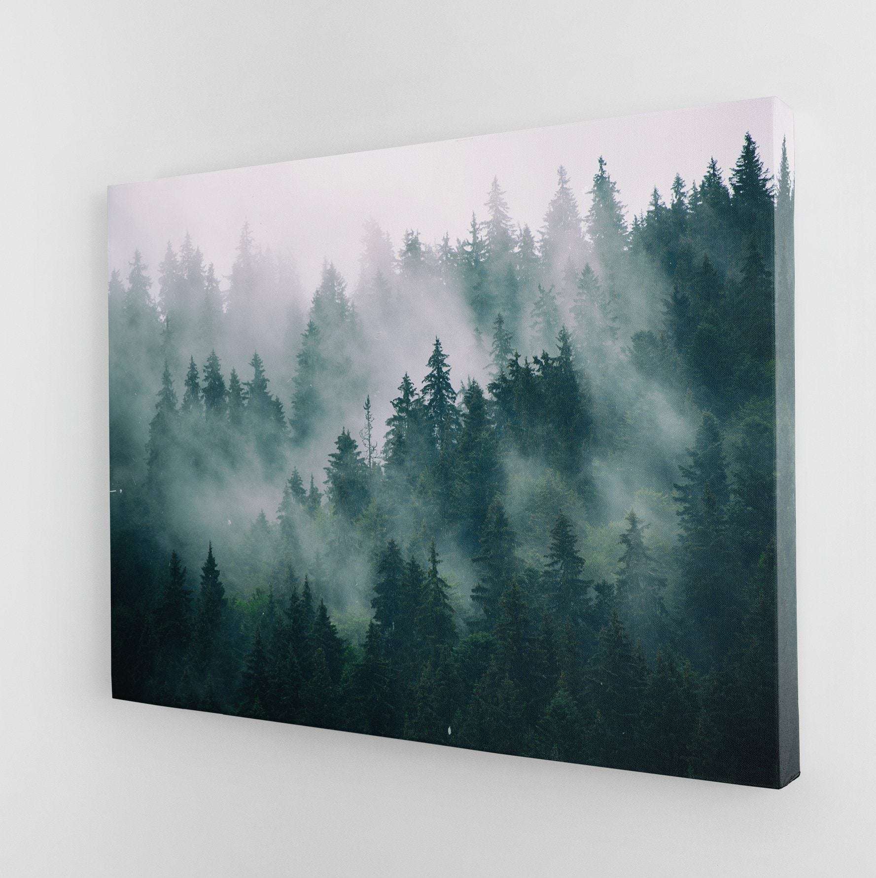 Misty Forest III Canvas Wido 