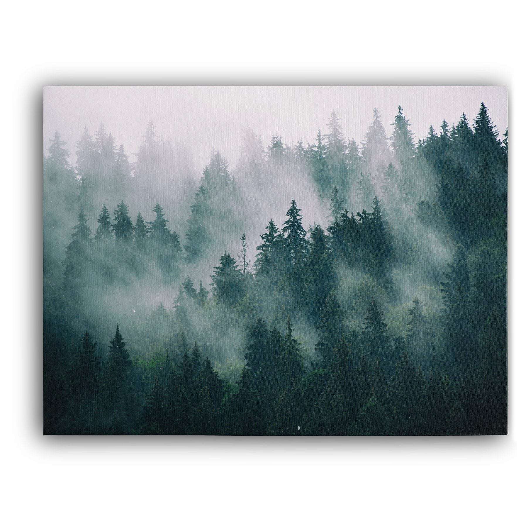 Misty Forest III Canvas Wido 