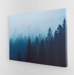 Misty Forest I Canvas Wido 