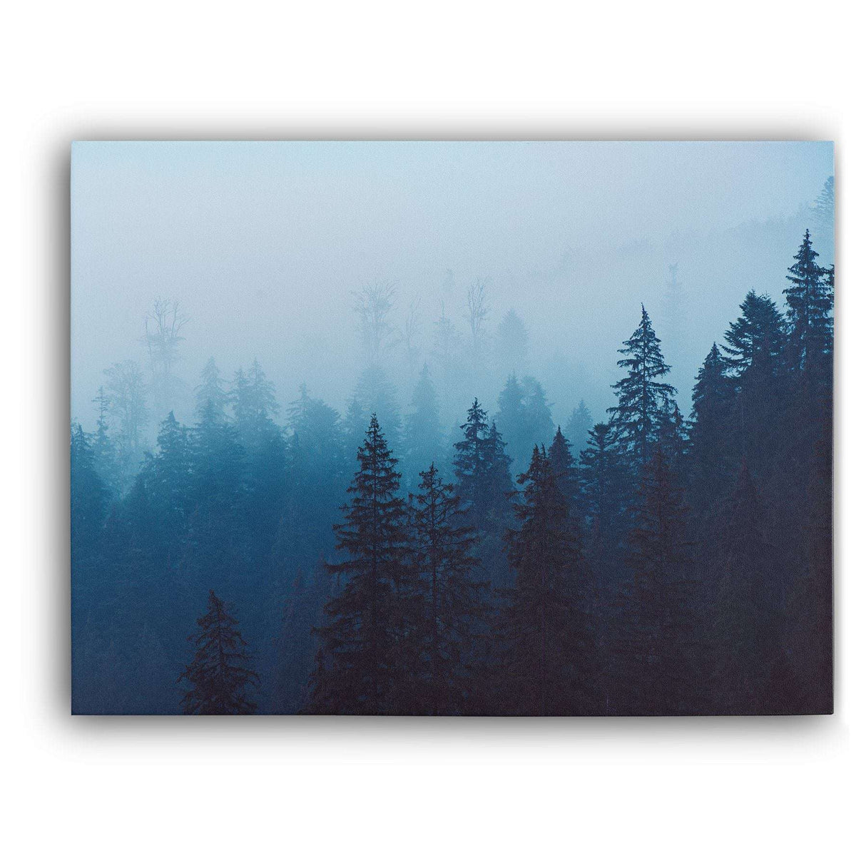 Misty Forest I Canvas Wido 
