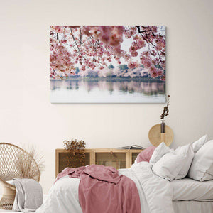 Cherry Blossoms Canvas Magna Canvas 