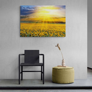 Sunset Over The Field Canvas Magna Canvas 