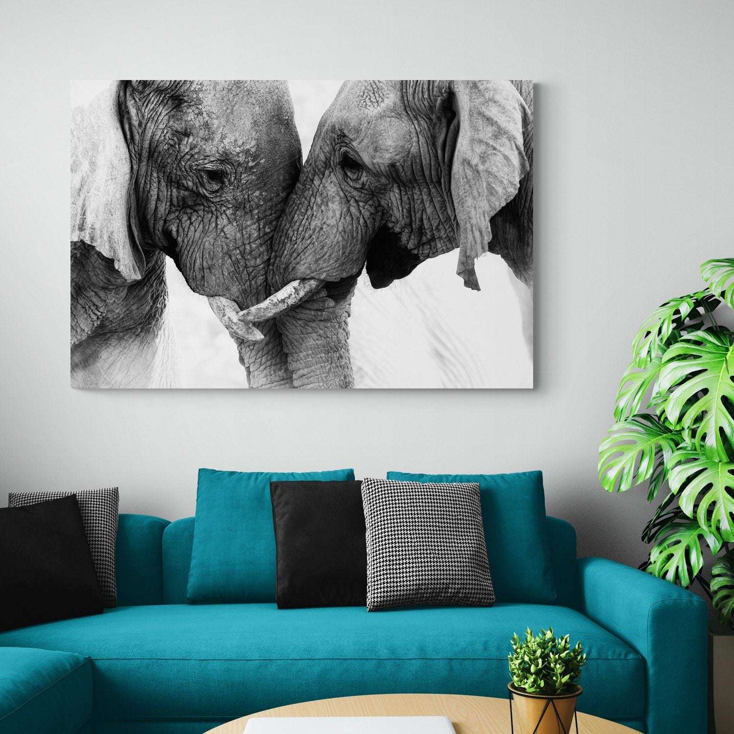 Elephant Touch Canvas Magna Canvas 