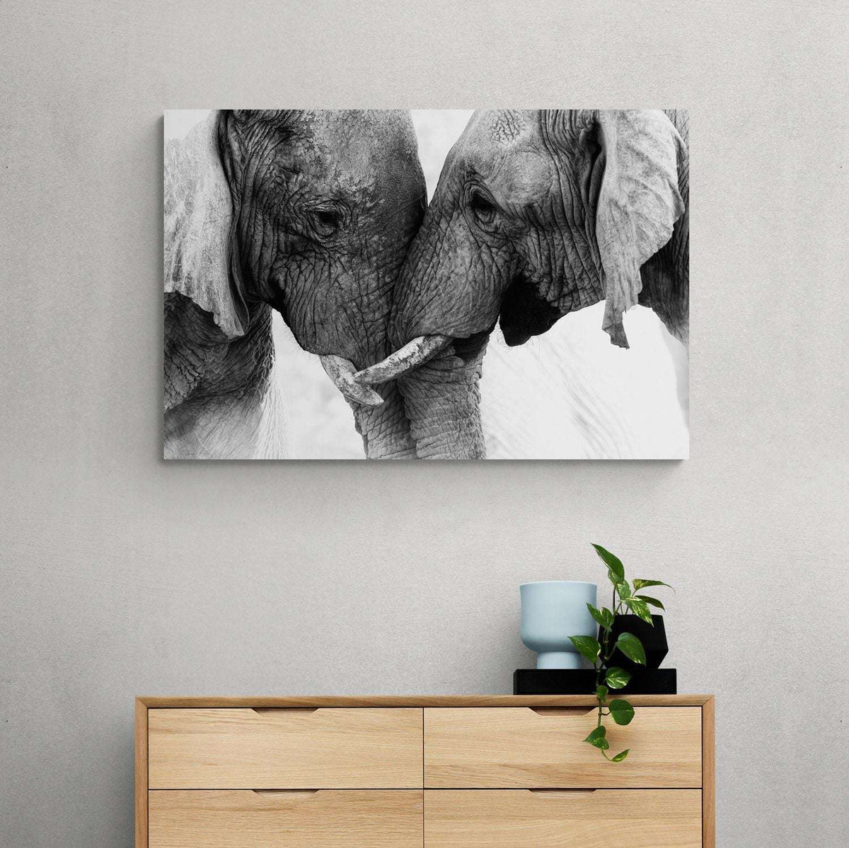 Elephant Touch Canvas Magna Canvas 