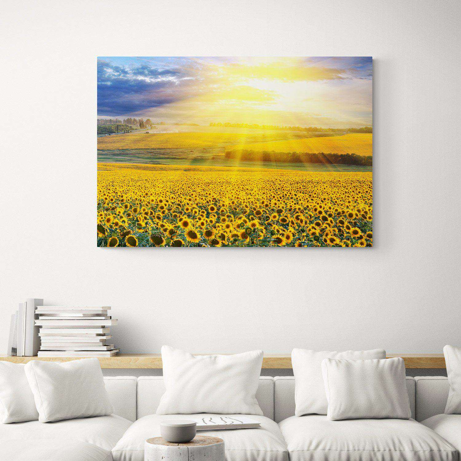 Sunset Over The Field Canvas Magna Canvas 