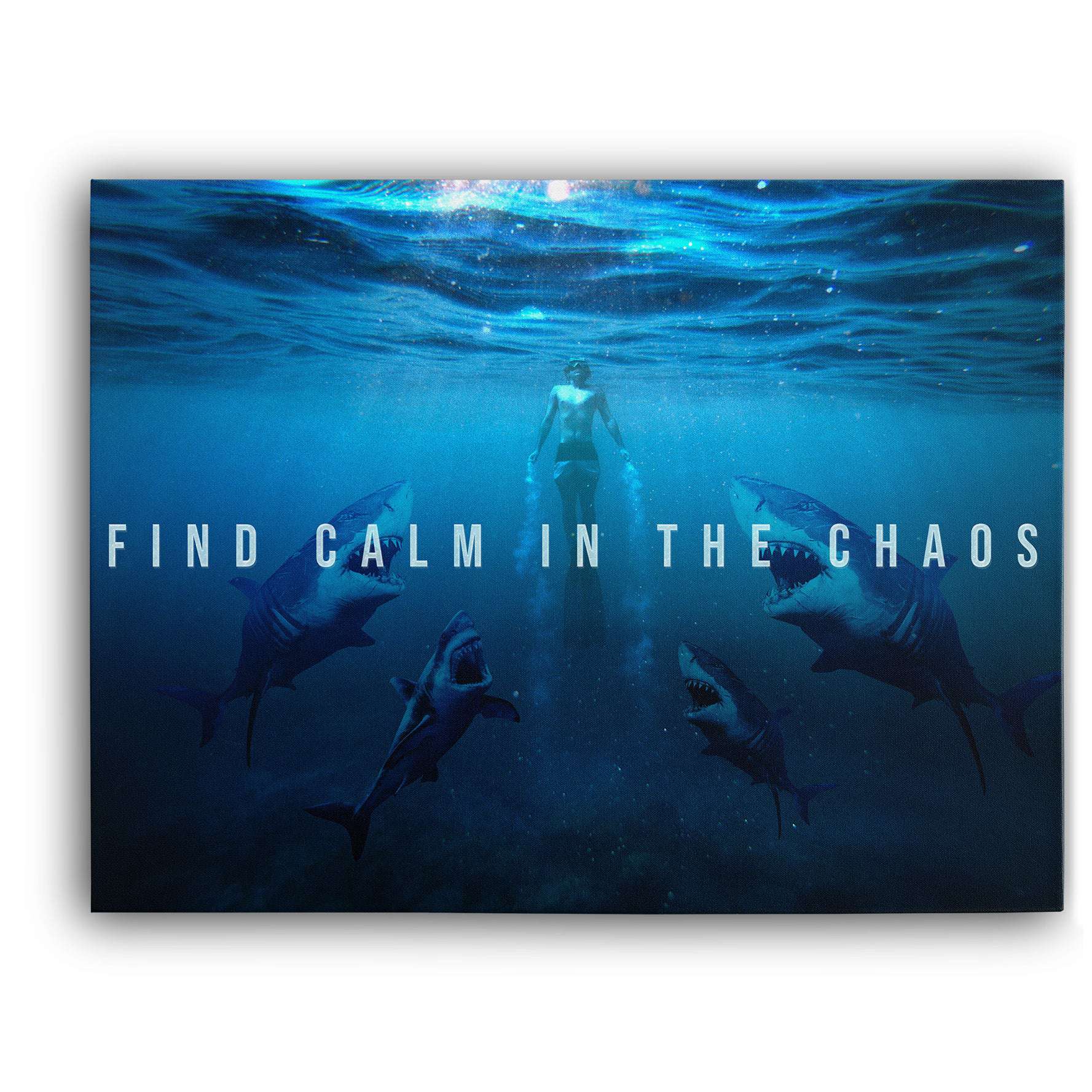 Find Calm In The Chaos