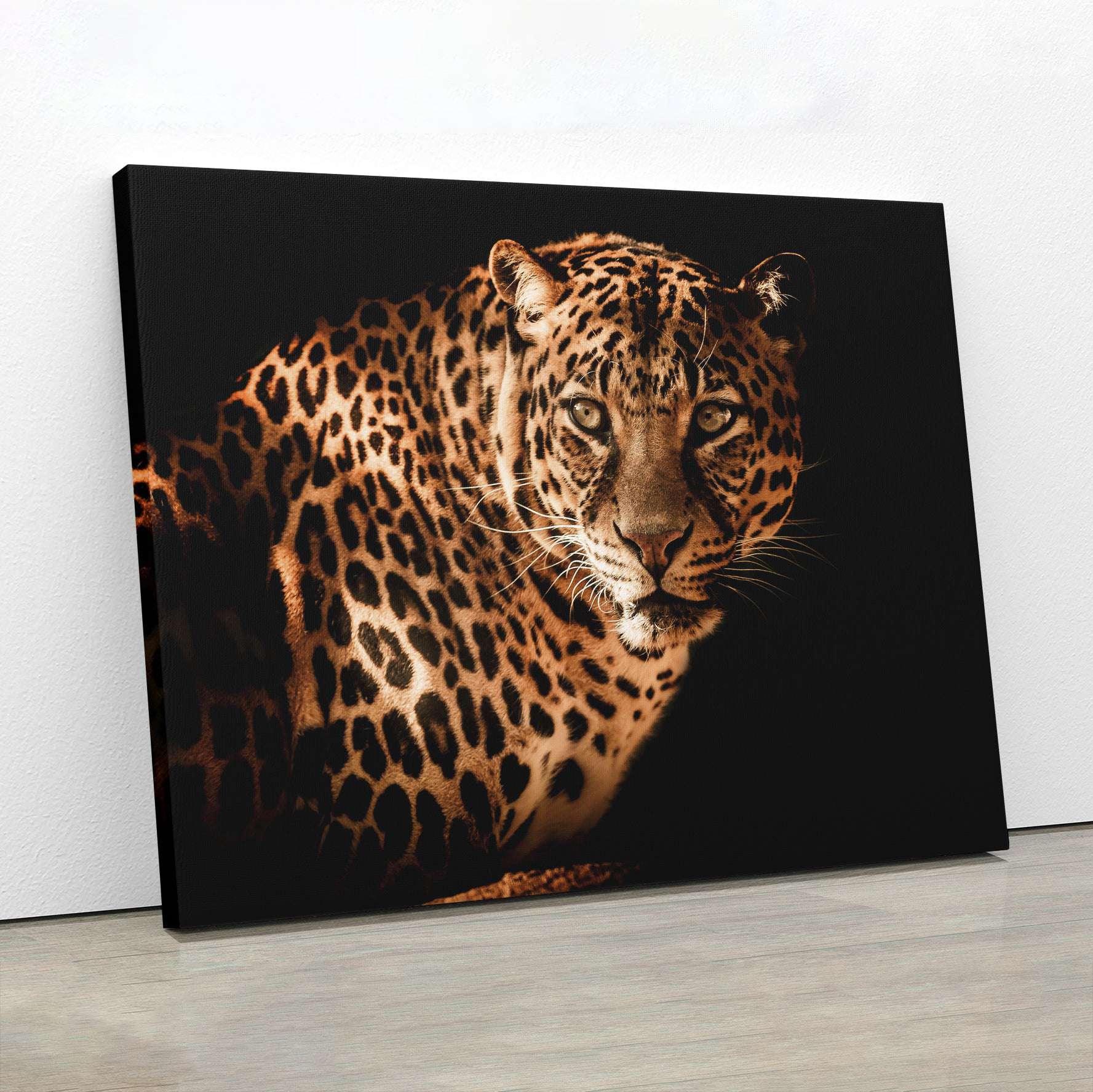 The Leopard