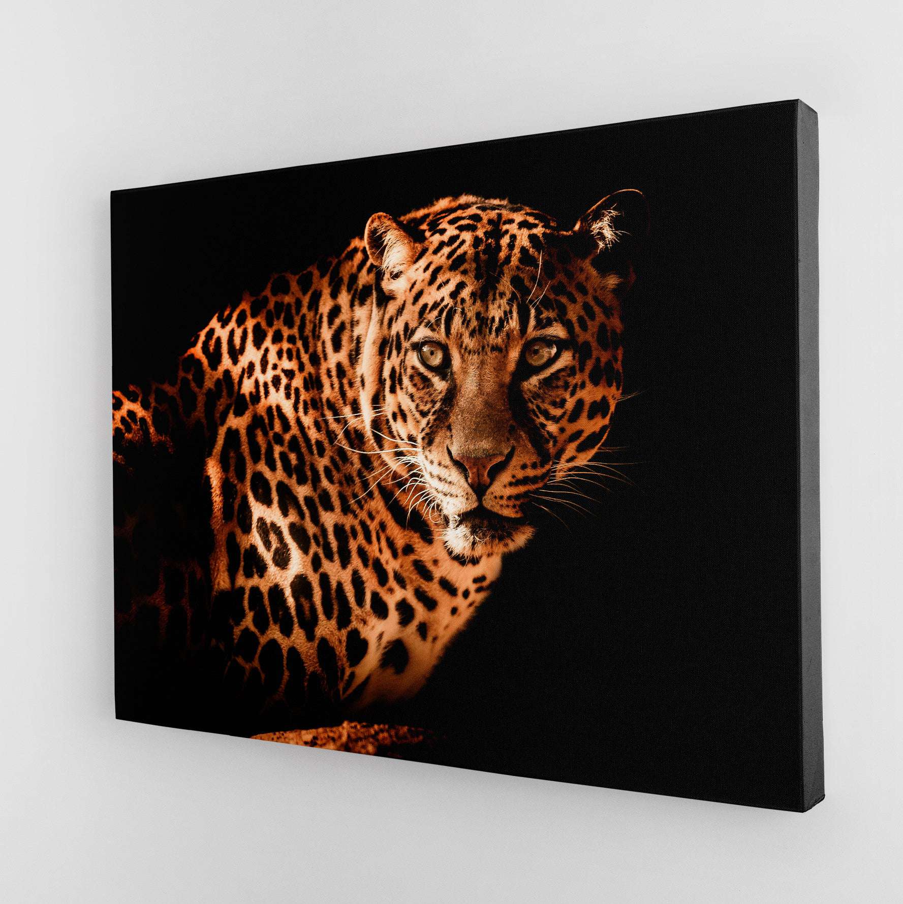 The Leopard