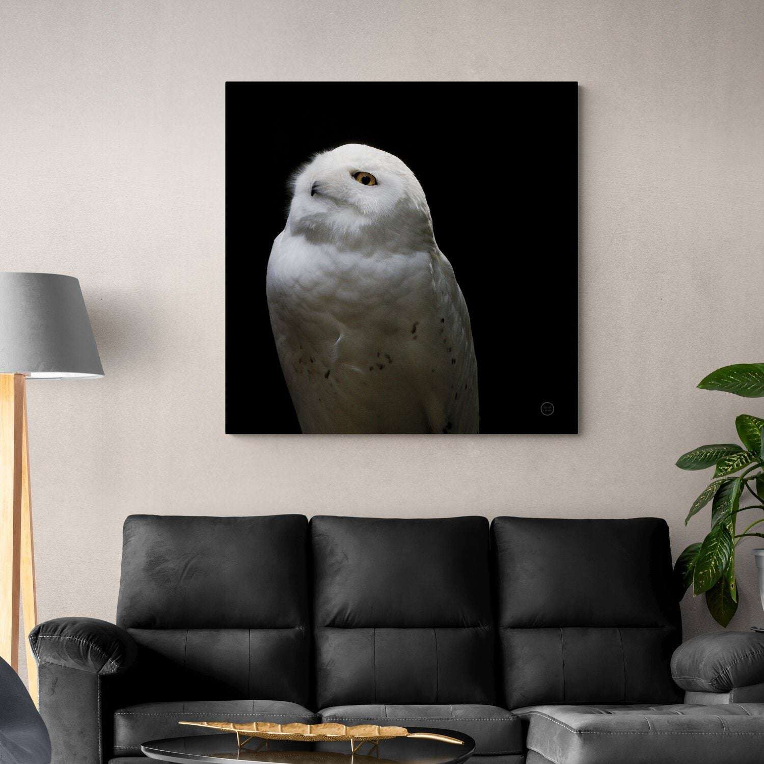 Snowy Owl Looking Into The Sun Canvas Wido 