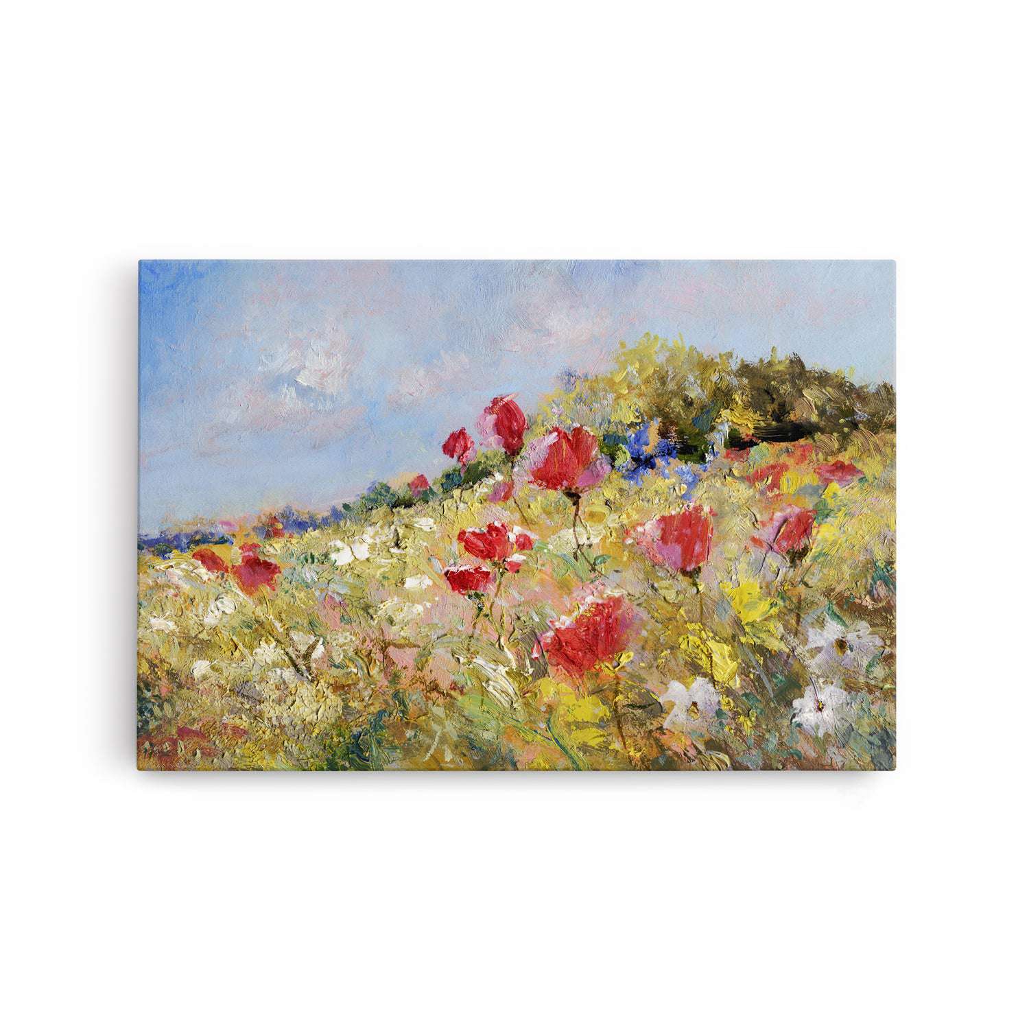 Summer Meadow Poppies