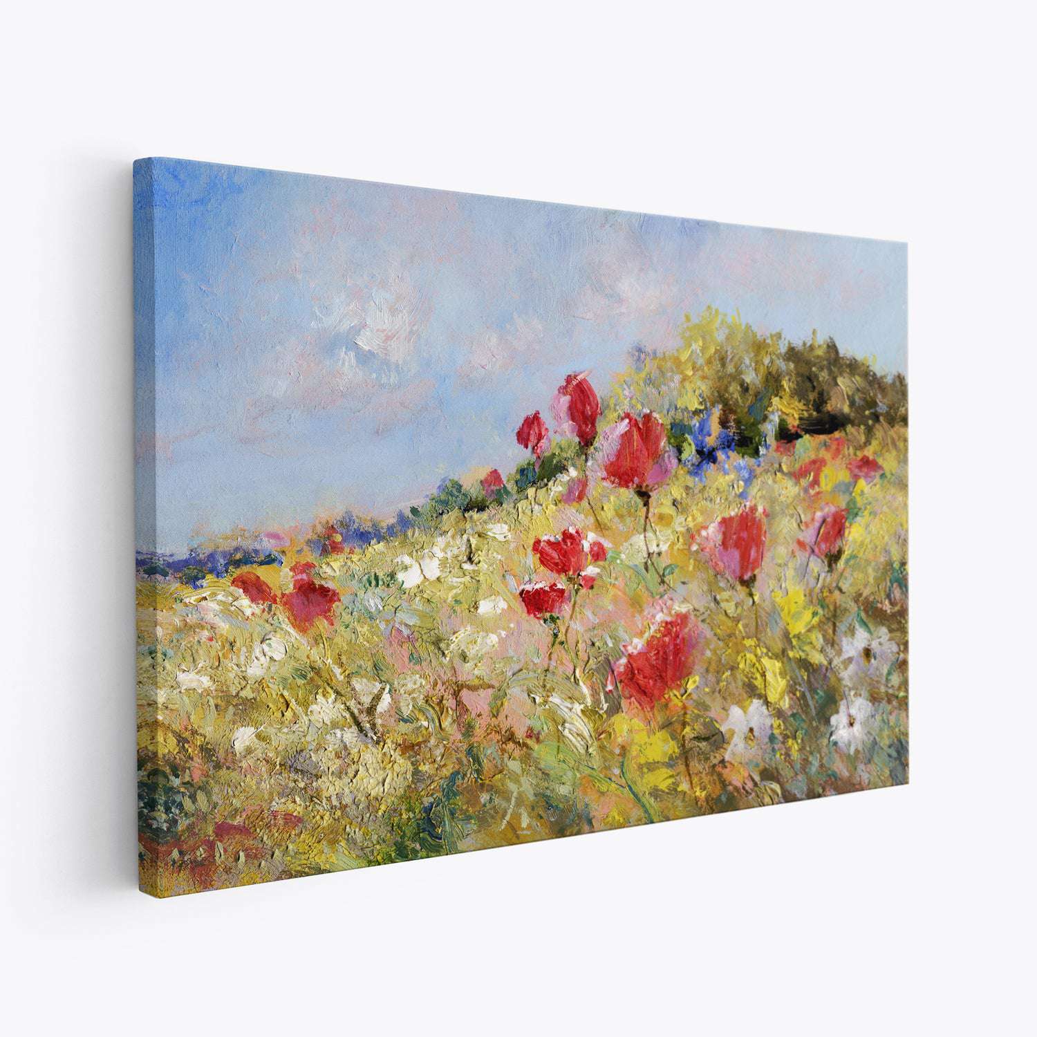 Summer Meadow Poppies