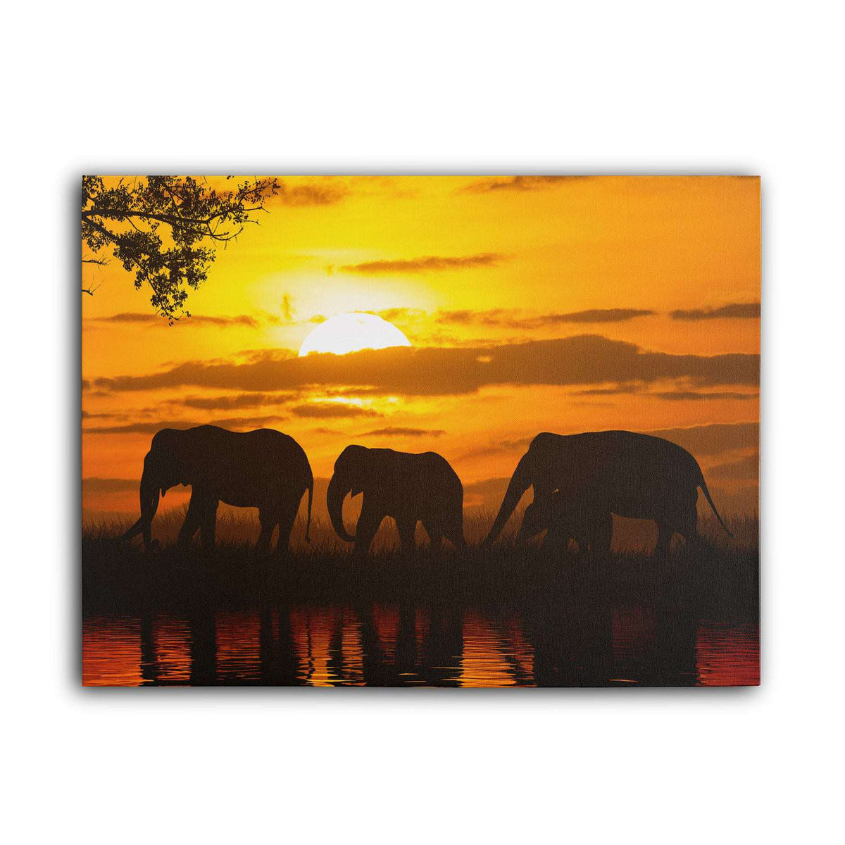 Sunset Elephants