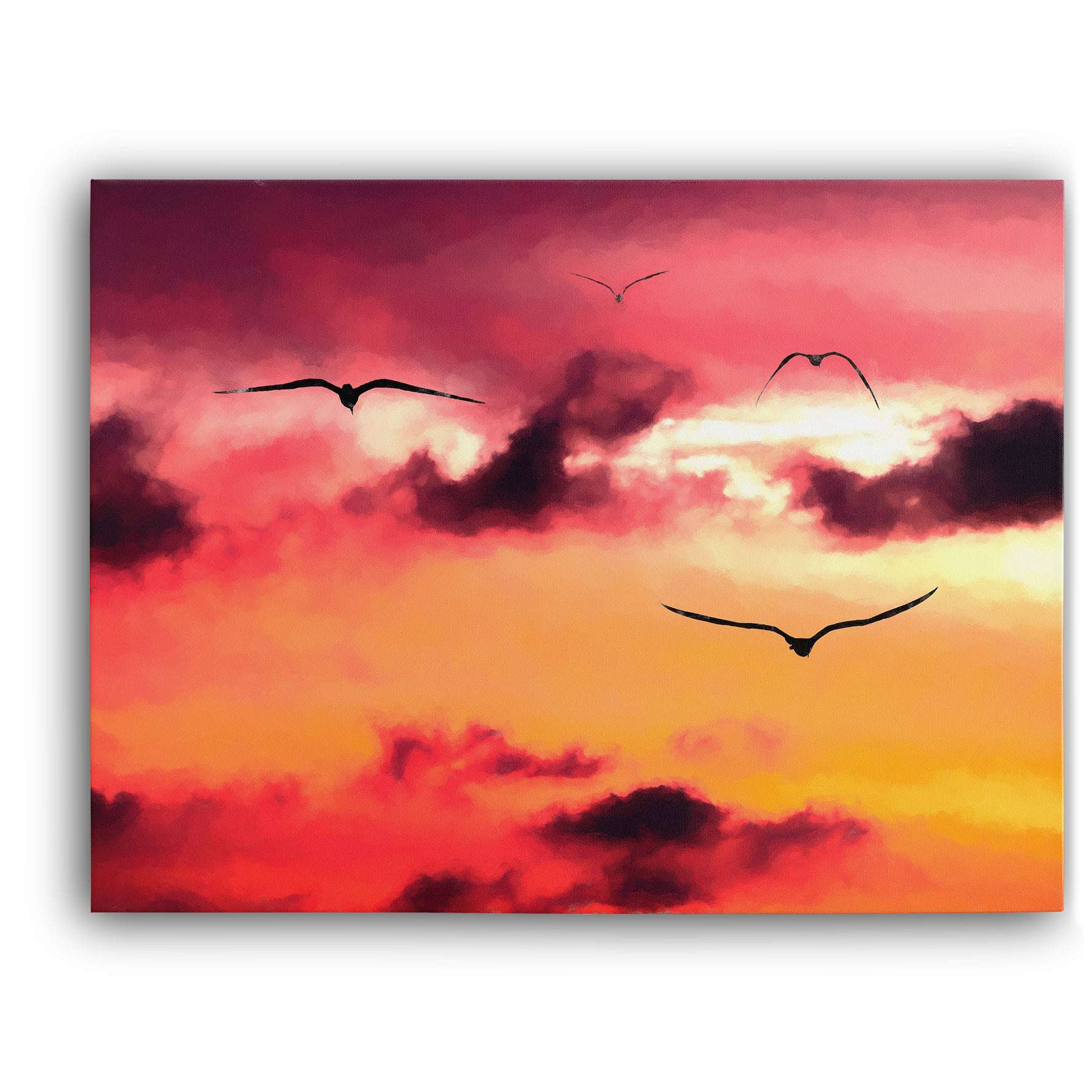 Sunset Birds