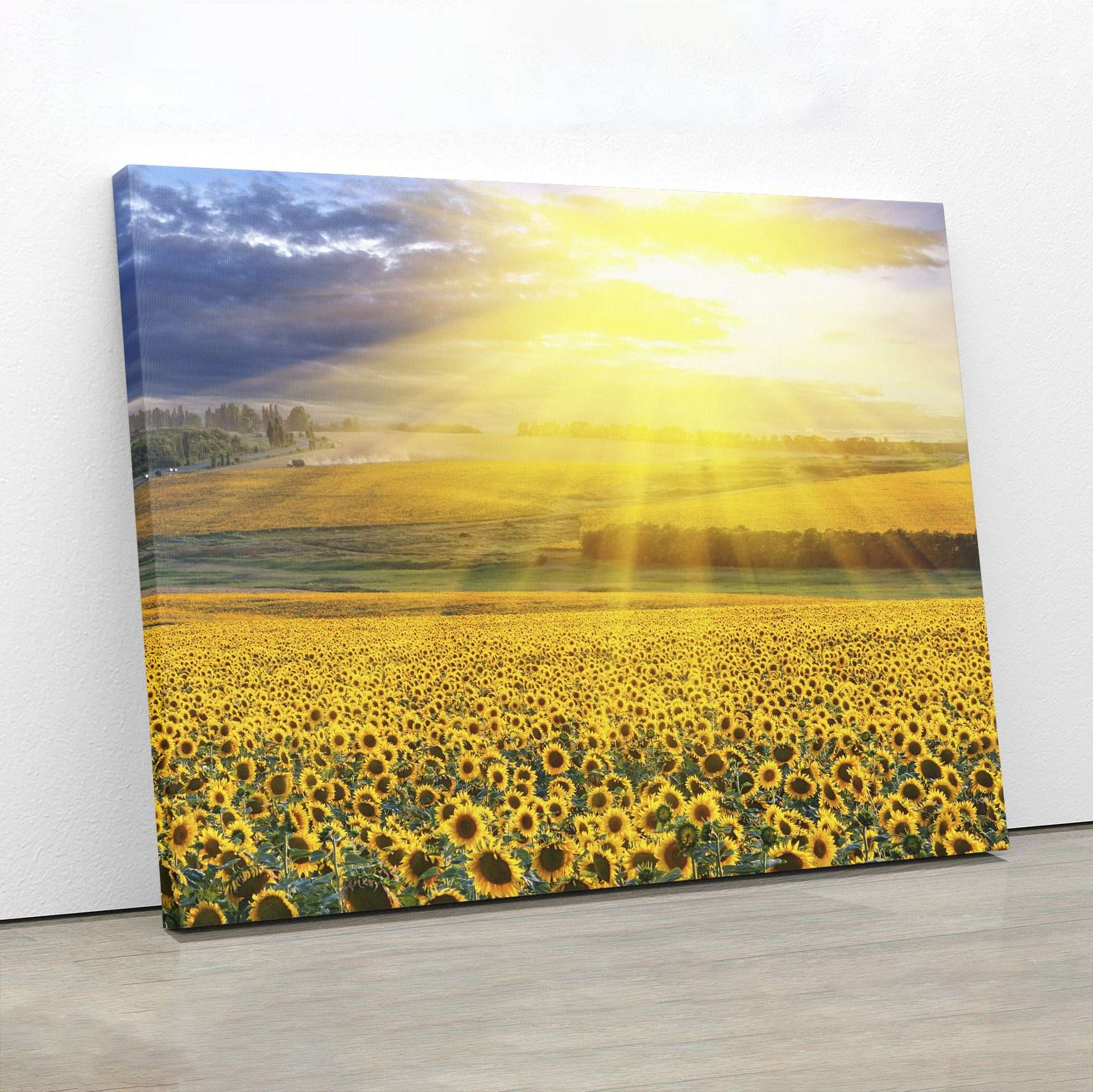 Sunset Over The Field Canvas Magna Canvas 