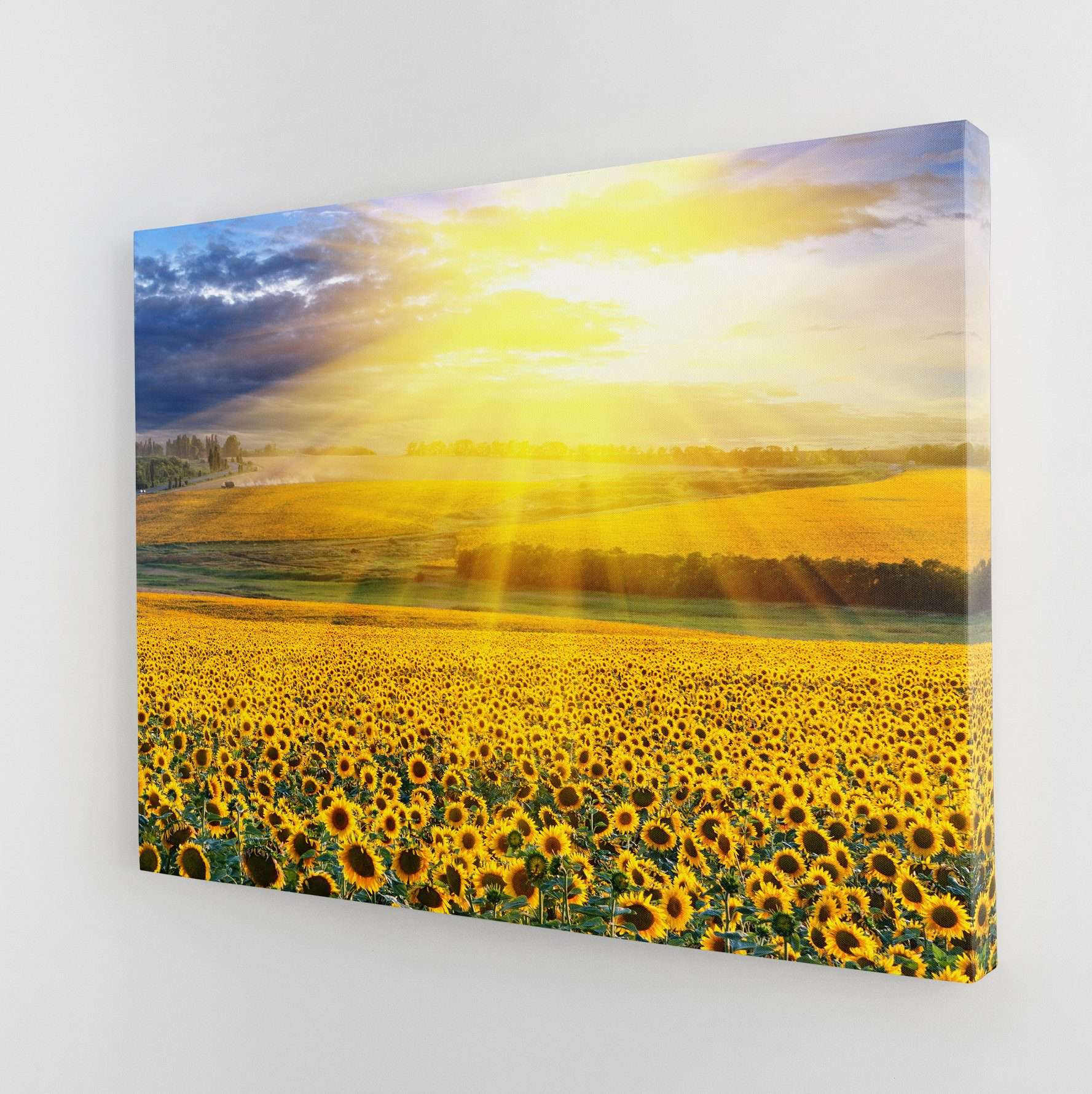 Sunset Over The Field Canvas Magna Canvas 