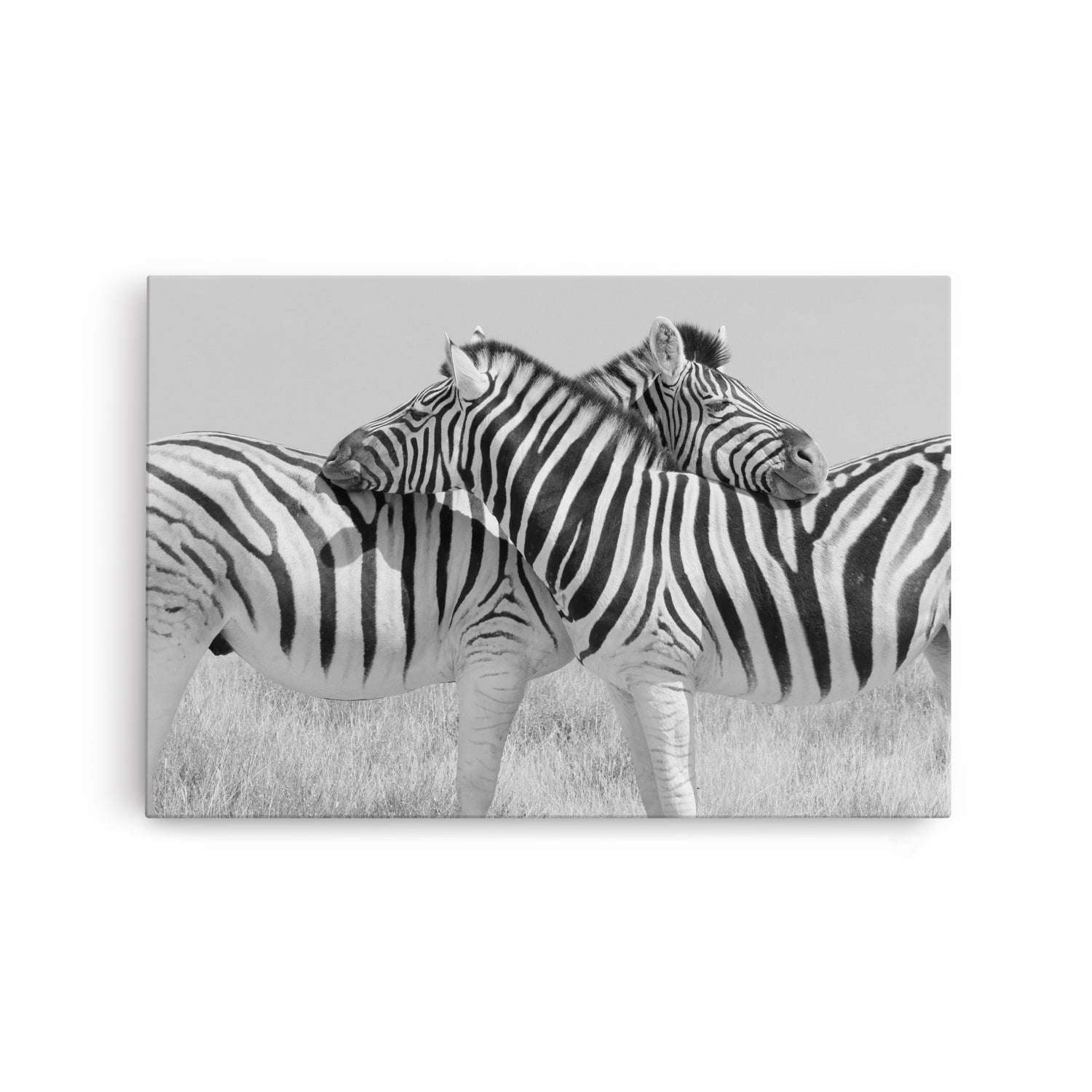 Symmetrical Zebras