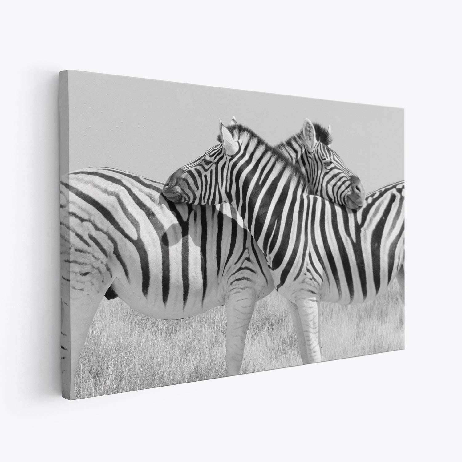 Symmetrical Zebras