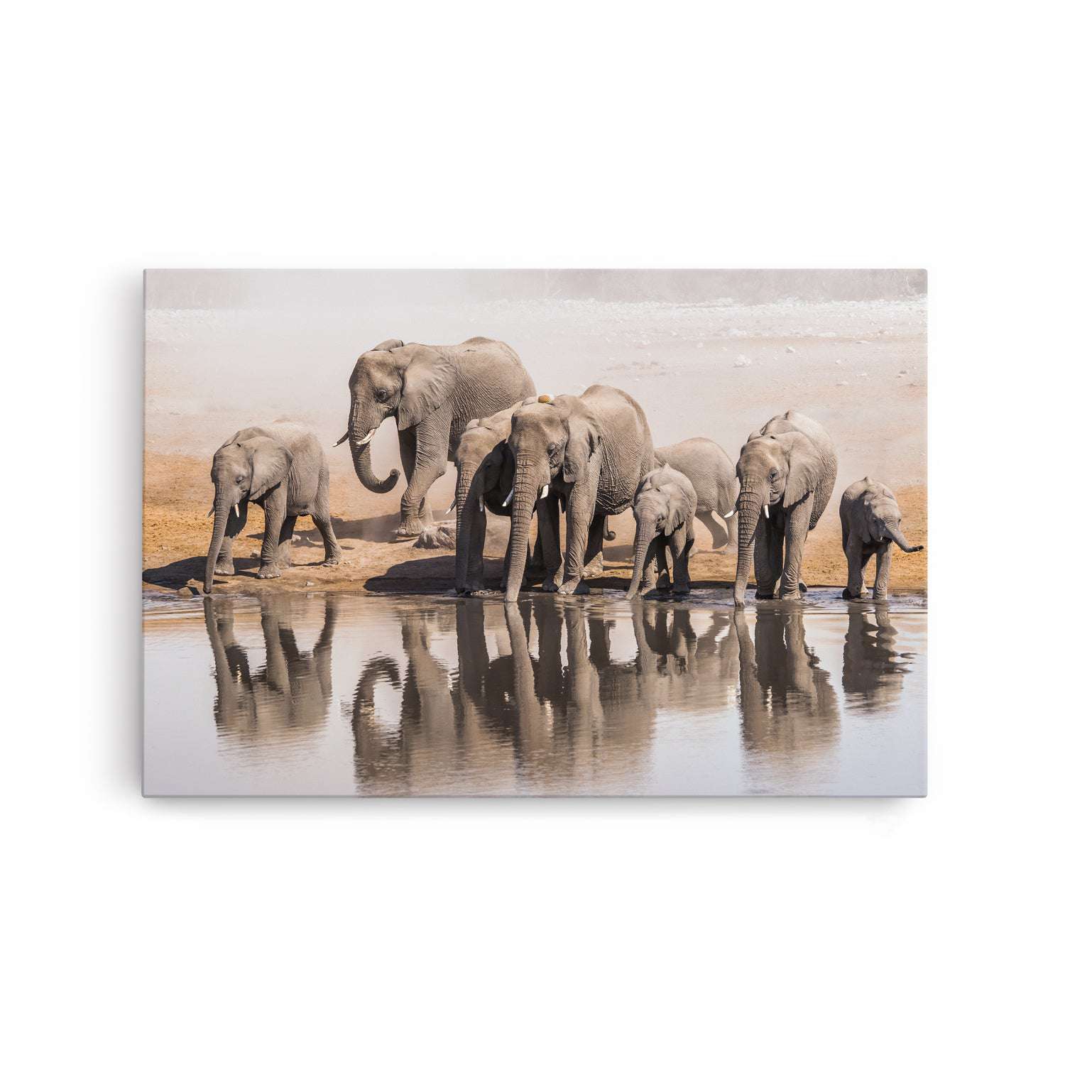 The Herd
