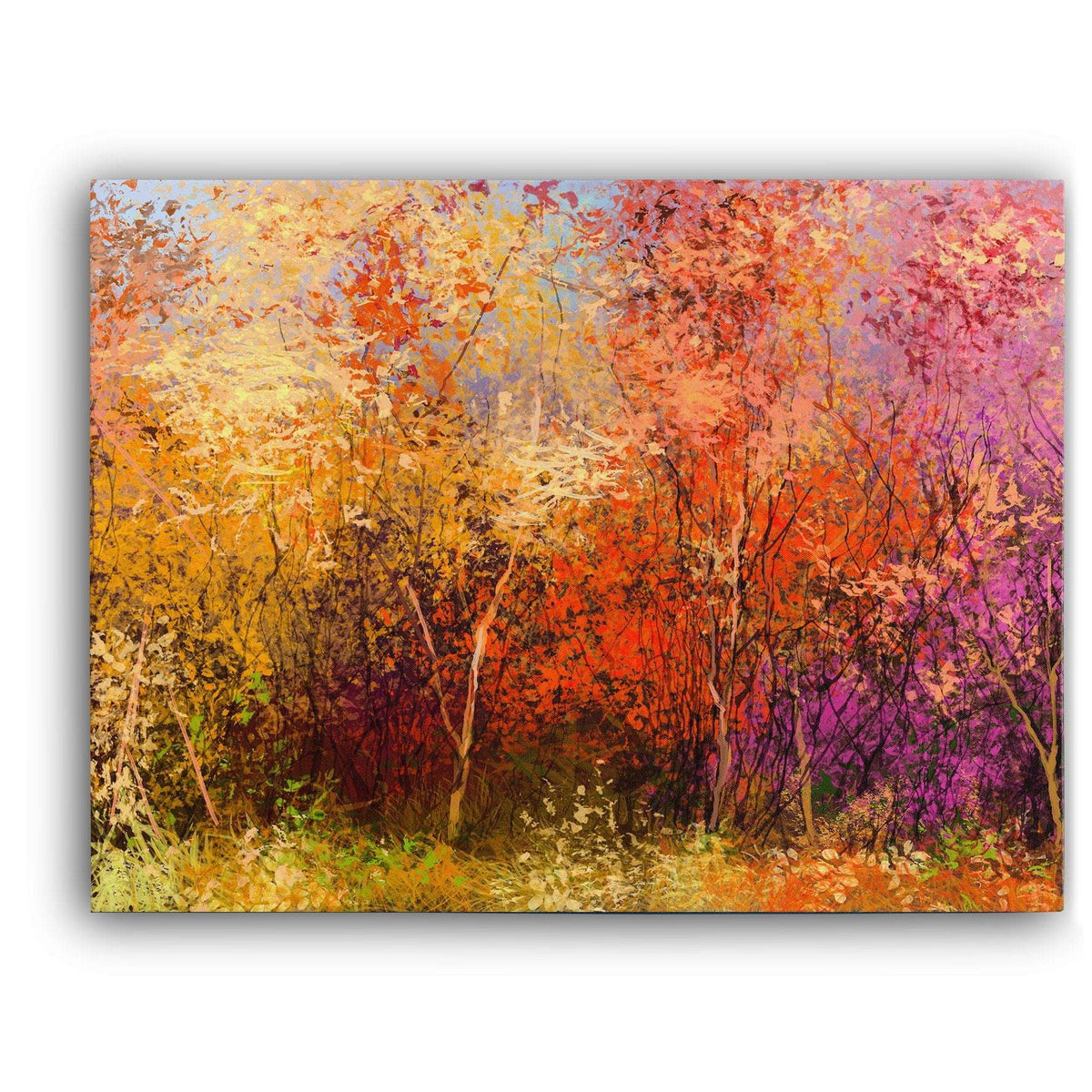 Colourful Autumn Trees Canvas Magna Canvas 