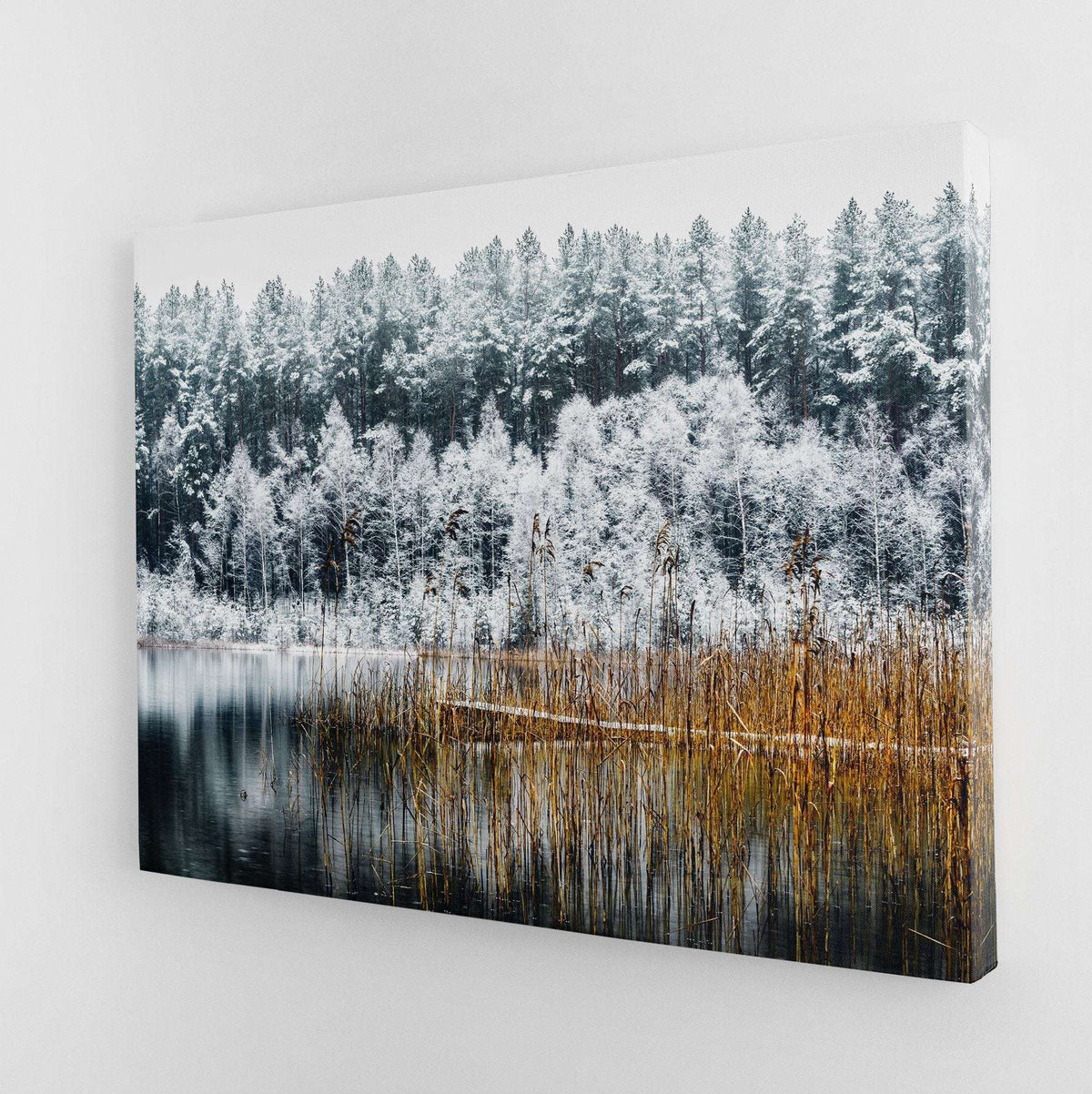 Frosty Forest Trees Canvas Magna Canvas 