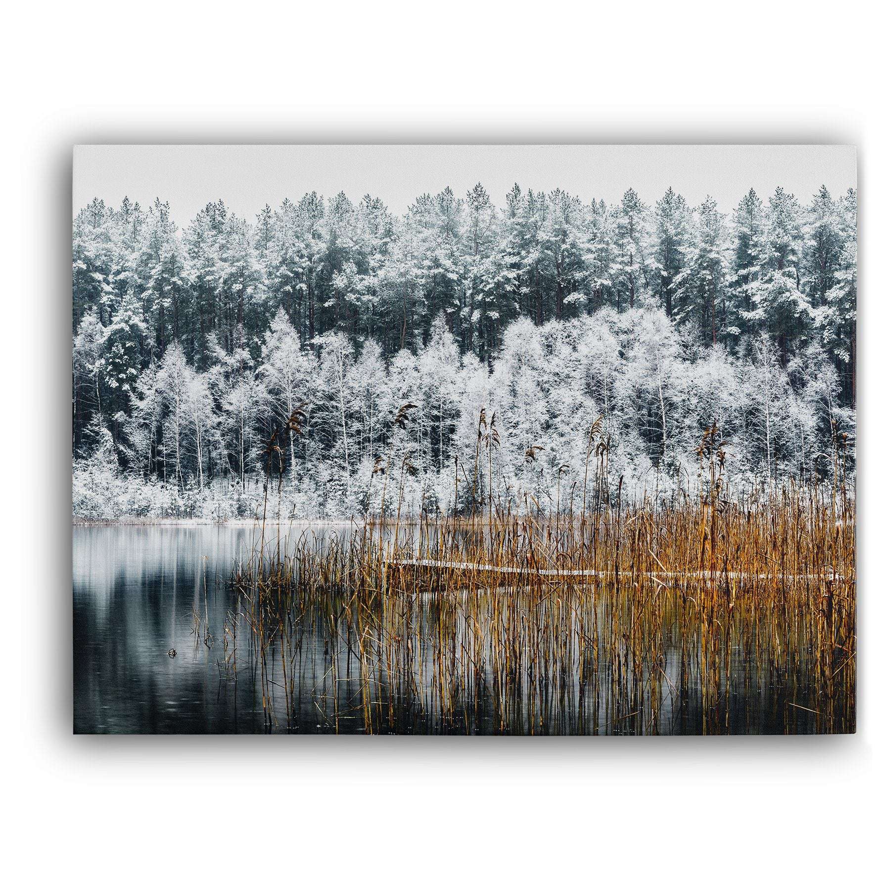 Frosty Forest Trees Canvas Magna Canvas 