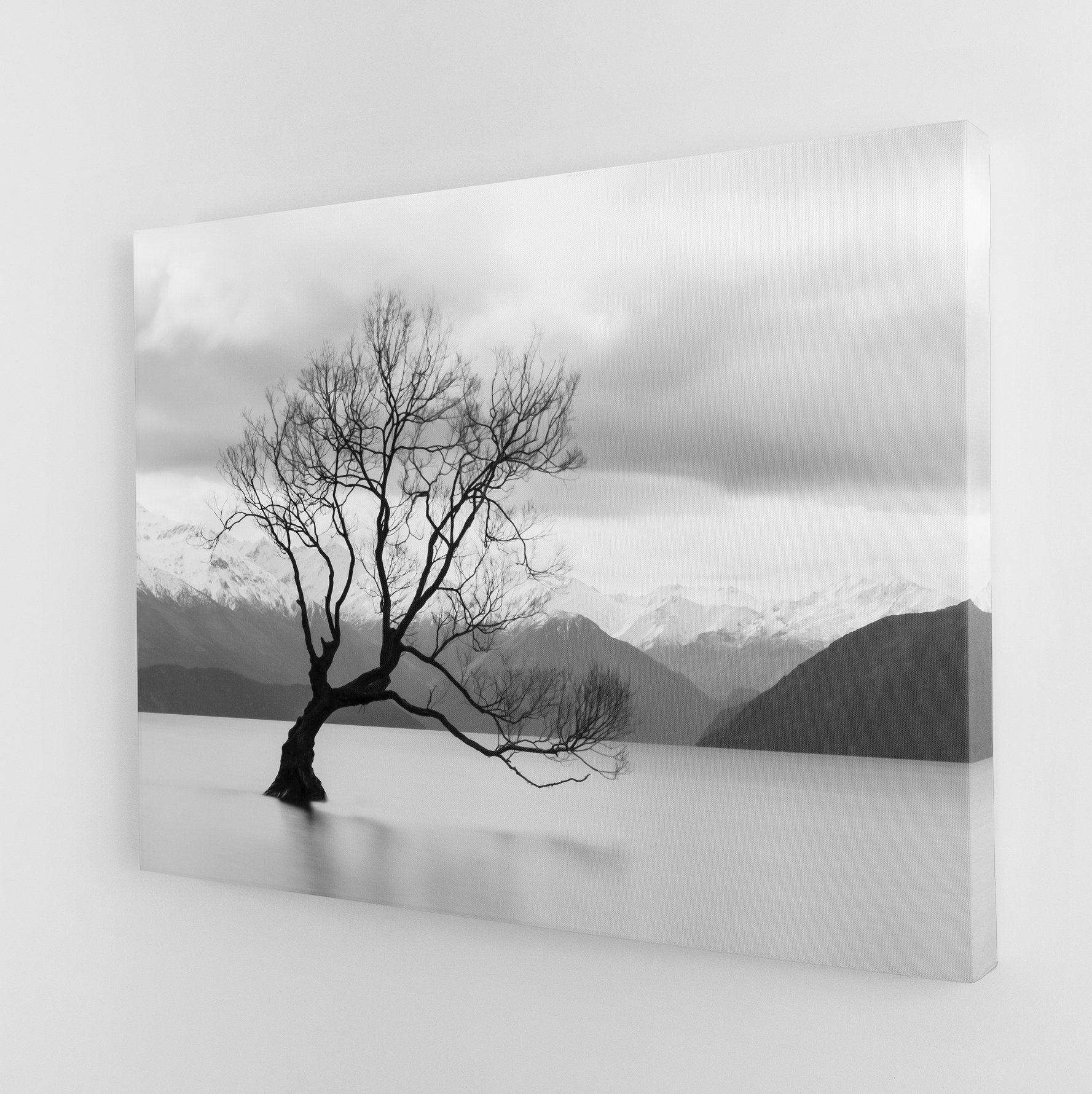Wanaka Tree Canvas Magna Canvas 