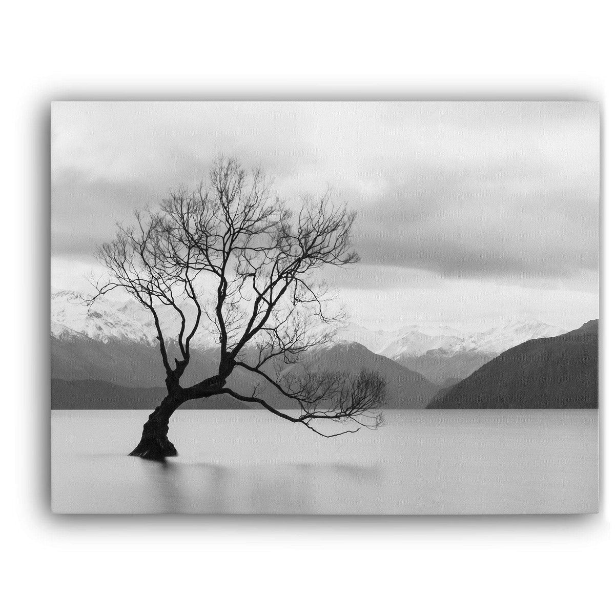 Wanaka Tree Canvas Magna Canvas 